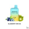 Blueberry Kiwi Ice