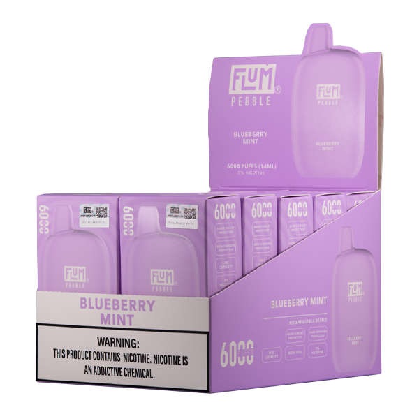 Shop Blueberry Mint FLUM Pebble in australian