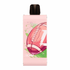 Shop TX-Mint Off Stamp X Pod King SW16000 Disposable in australian