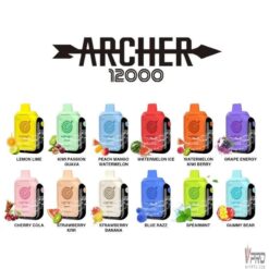 Shop Vapmod Archer 12000 5% Disposable in australian