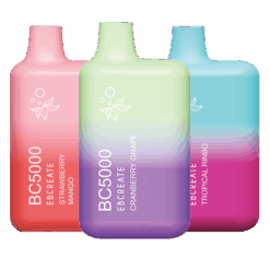 Shop BC5000 Zero Nicotine Sampler Pack in australian