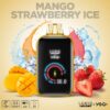 Mango Strawberry Ice - Yogi