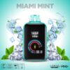 Miami Mint - Yogi