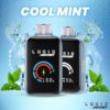 Cool Mint