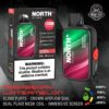 Shop North FT12000 Disposable Vape (5%,12000 Puffs) in australian