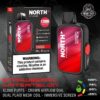 Shop North FT12000 Disposable Vape (5%,12000 Puffs) in australian